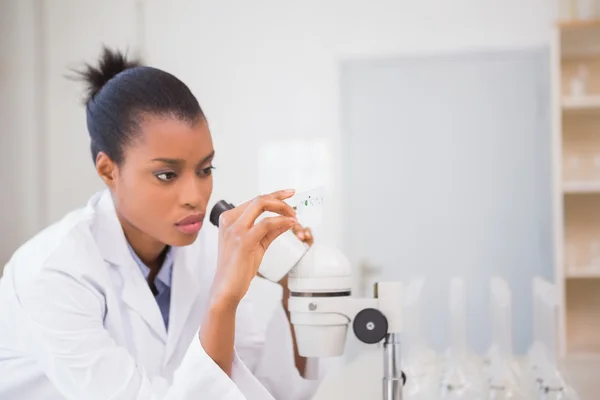 Scientist looking in microscope — Stock Photo, Image