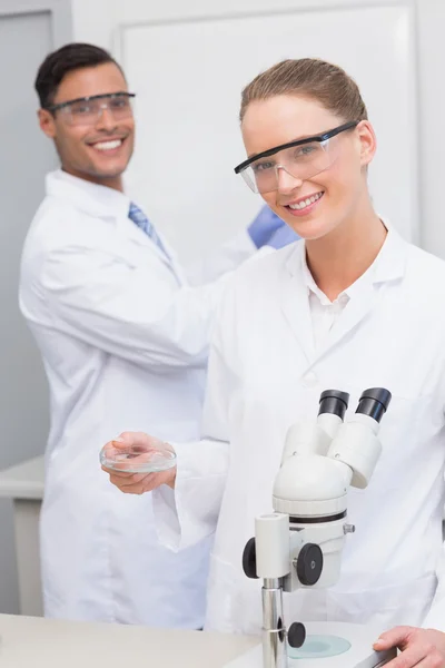 Scientists examining at petri dish and tubes — Stock Photo, Image