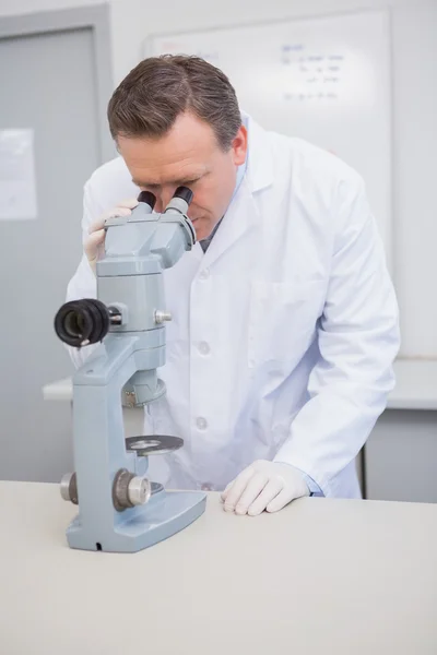 Scientist examining sample with microscope — Stock Photo, Image