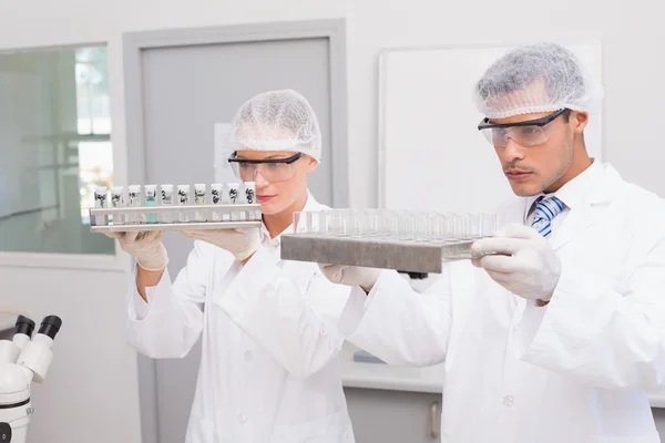 Scientists examining tubes — Stock Photo, Image
