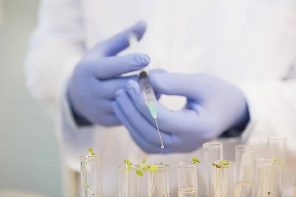 Wetenschapper doen van experimenten in planten — Stockfoto