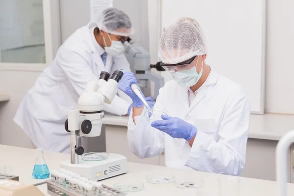 Cientista examinando placa de Petri — Fotografia de Stock