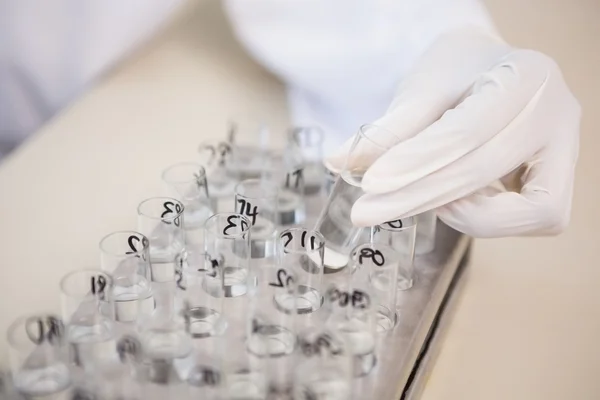 Scientist analyzing test tubes — Stock Photo, Image