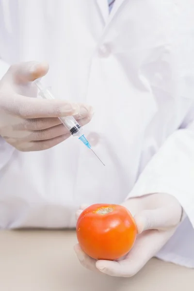 Scientist doing experimentation on tomato — Stock Photo, Image