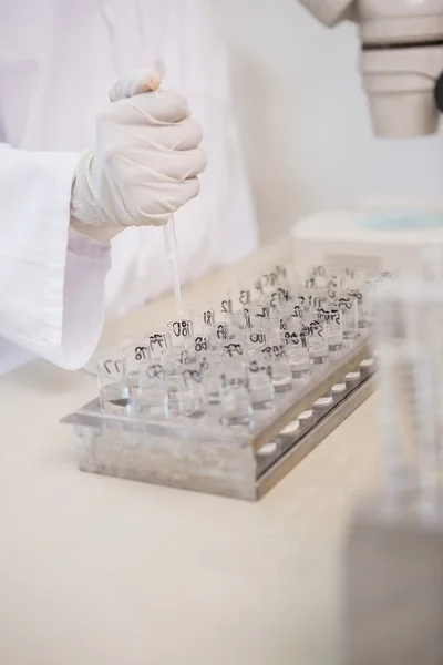 Scientist working with test tubes and pipette — Stock Photo, Image