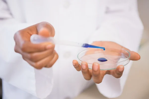 Scientist examining blue fluid in petri dish — Stock Photo, Image