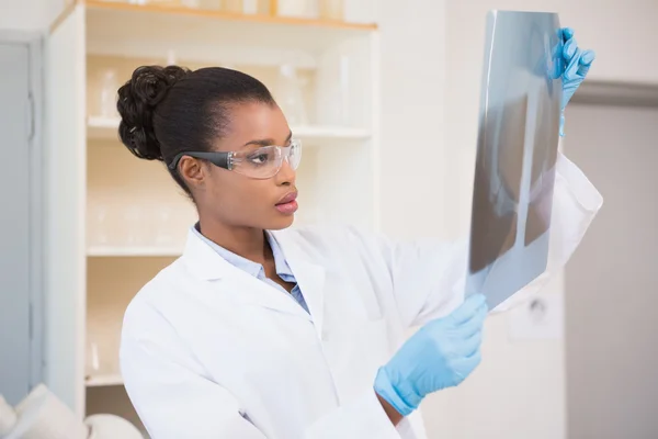 Concentrated scientist looking at x-ray — Stock Photo, Image