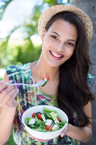 Smiling beautiful brunette having a picnic — Stock Photo, Image