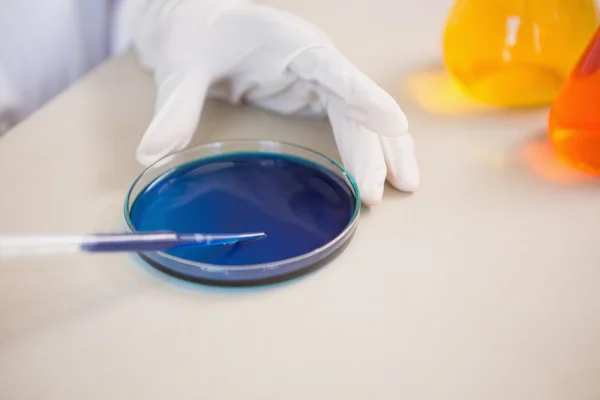 Cientista examinando placa de Petri — Fotografia de Stock