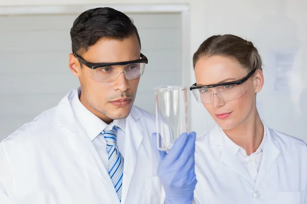 Geconcentreerde wetenschappers kijken naar bekerglas — Stockfoto