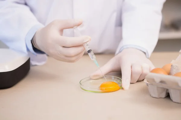 Cientista alimentar examinando gema de ovo — Fotografia de Stock