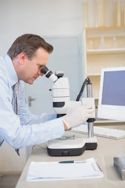 Scientist using computer and microscope — Stock Photo, Image