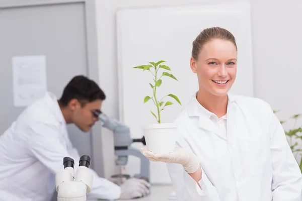 Bitki gösterilen kameraya gülümseyen bilim adamı — Stok fotoğraf