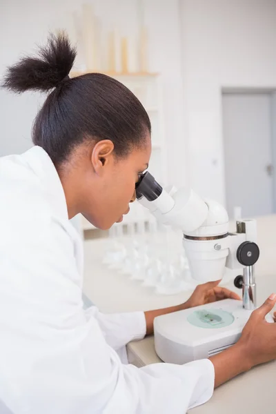 Cientista olhando para placa de Petri com microscópio — Fotografia de Stock