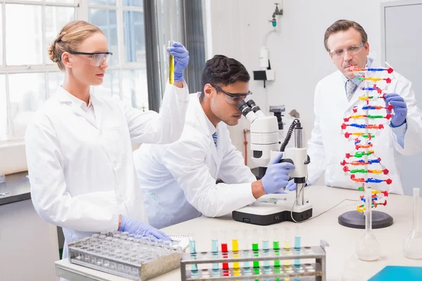 Científicos concentrados trabajando juntos — Foto de Stock