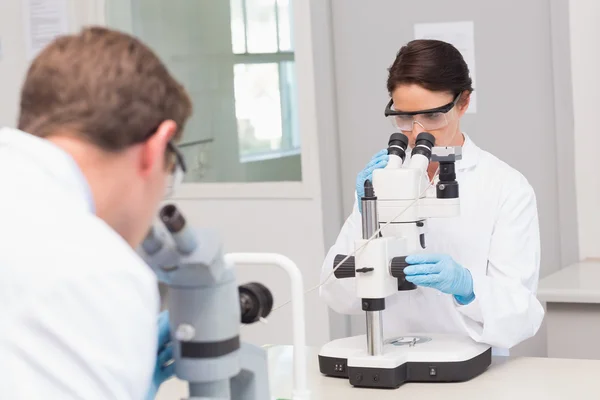 Científicos mirando atentamente en microscopios — Foto de Stock