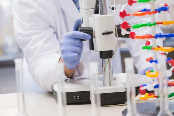 Scientist analysing petri dish with the microscope — Stock Photo, Image