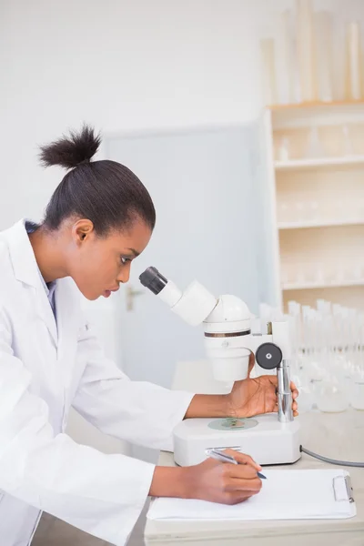 Cientista olhando para placa de Petri com microscópio — Fotografia de Stock