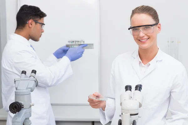 Cientistas olhando para placa de Petri e tubos — Fotografia de Stock