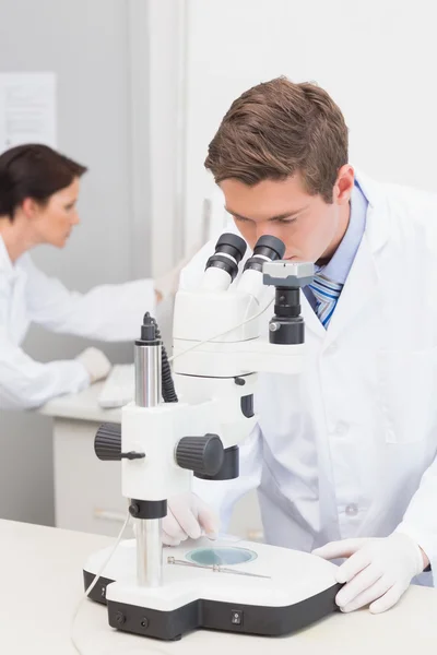 Scientists working with microscope and computer — Stock Photo, Image