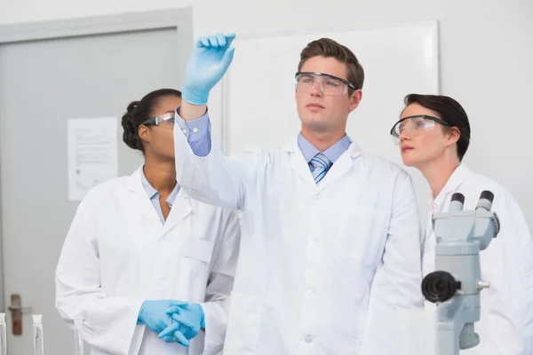 Concentrated scientists working together — Stock Photo, Image