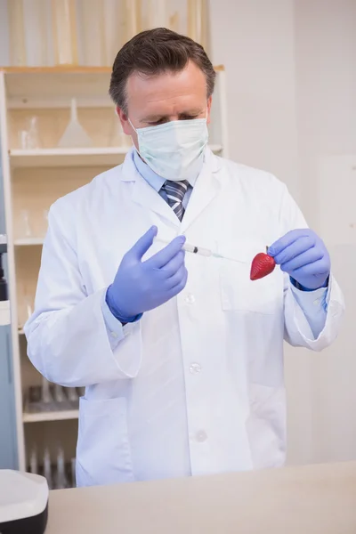 Scientist injecting strawberry — Stock Photo, Image