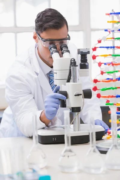 Wissenschaftler analysiert Petrischale mit dem Mikroskop — Stockfoto