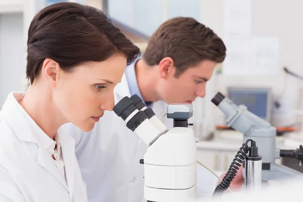 Scientists looking attentively in microscopes — Stock Photo, Image