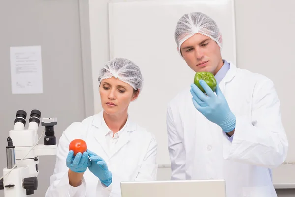 Cientistas examinando atentamente pimenta e tomate — Fotografia de Stock