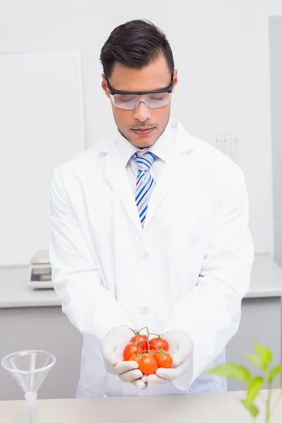 Scientist with protective glasses holding tomatoes — Stock Photo, Image