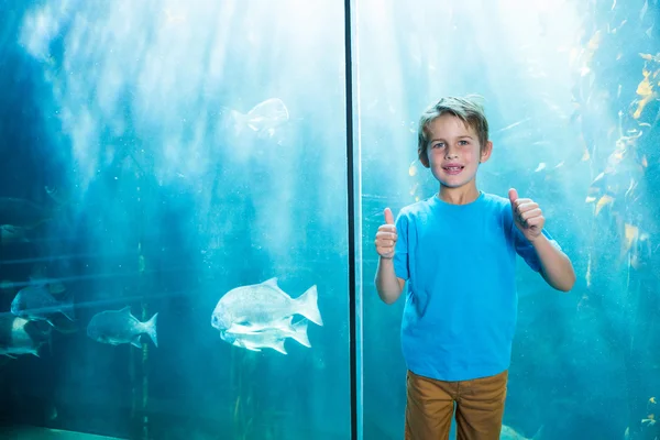 Happy young boys rising his finger — Stock Photo, Image