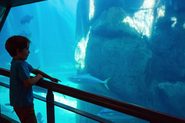 Jeune homme pointant le poisson dans un réservoir avec son doigt — Photo