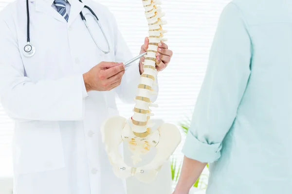 Läkare pekar anatomiska ryggraden — Stockfoto