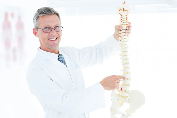 Arzt zeigt anatomische Wirbelsäule — Stockfoto