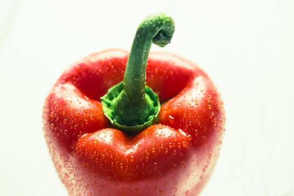 Pimiento rojo con gotas de agua — Foto de Stock