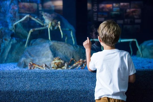 Jonge man met wijzen een gigantische krab — Stockfoto