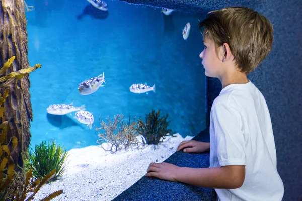 Jonge man kijkend naar vissen in de tank — Stockfoto