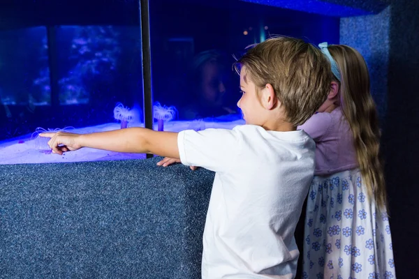 Jonge man met wijzen een zee-anemoon in tank — Stockfoto