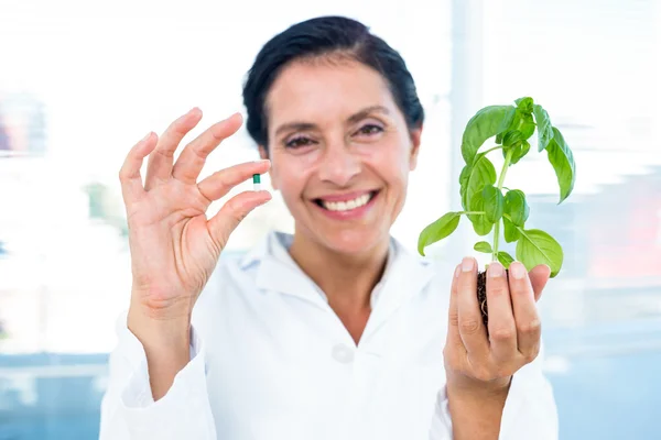 Scienziato con pianta e pillola di basilico — Foto Stock