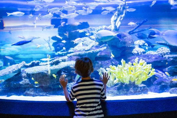 Jeune homme touchant un aquarium — Photo