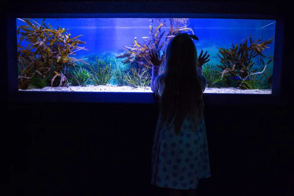 Jonge vrouw aanraken van een vis-tank — Stockfoto