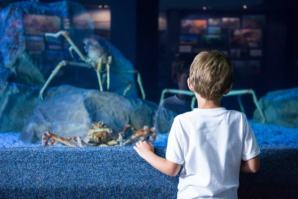 Jonge man kijkend naar reuzen krabben — Stockfoto