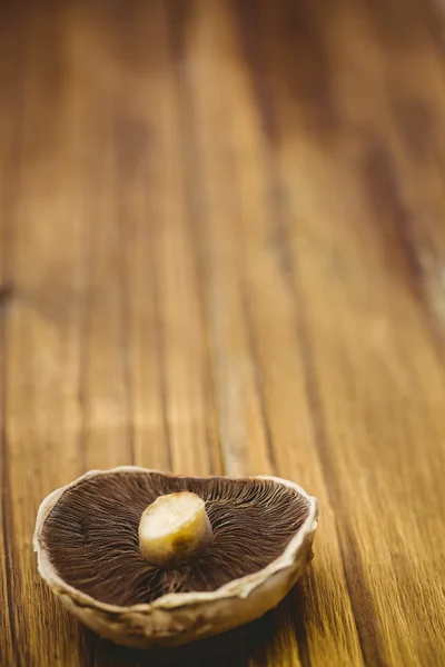 Fresh mushroom on wooden background — Stock Photo, Image