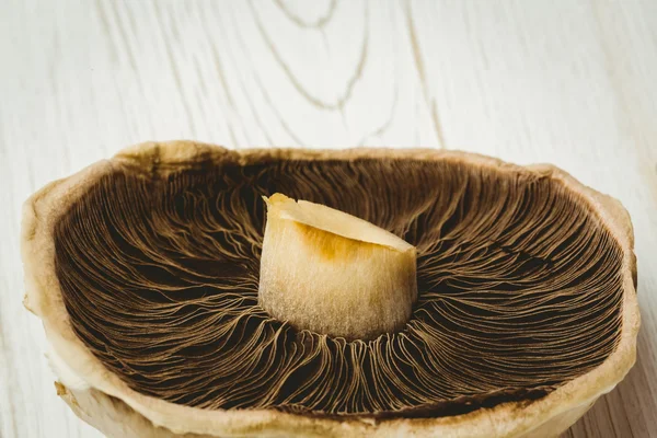 Свежий гриб на деревянном фоне — стоковое фото