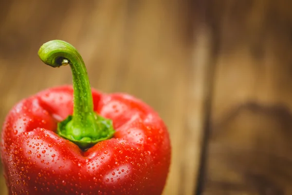 Pimiento rojo con gotas de agua — Foto de Stock