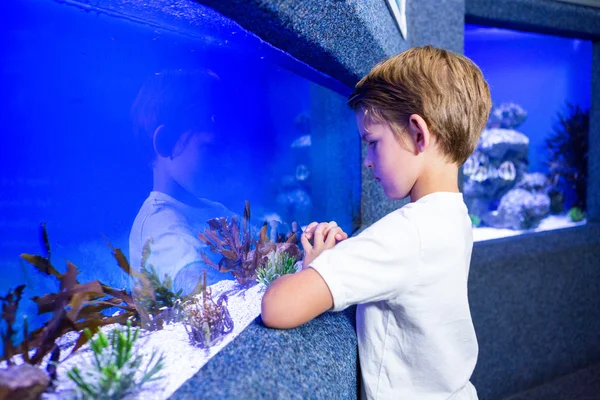 Jovem olhando algas em um tanque — Fotografia de Stock