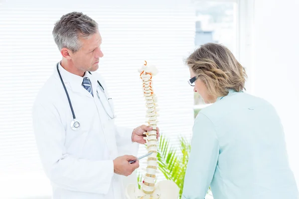 Доктор вказує на анатомічний хребет — стокове фото
