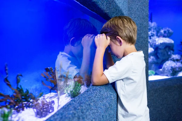 Jonge man gericht een algen in een tank — Stockfoto