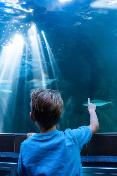 Молодой человек тычет пальцем в аквариум рыбой. — стоковое фото