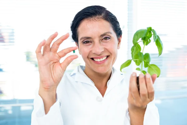 Científico sosteniendo planta de albahaca y píldora —  Fotos de Stock